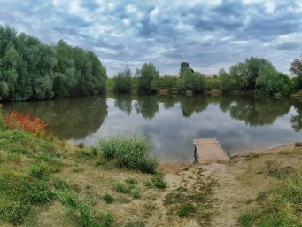 Андреевский, деревенский пруд в Севрюково