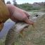 Street fishing в Валуйках 0