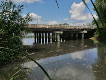 Разумная, Дорогобужино