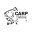 Карпфишинг