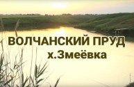 Волчанский