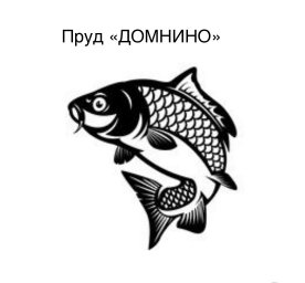 Домнино