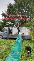 Подрыбление Карпа Подрыбление Карпа